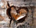 /album/fotogaleria/images-3-jpg/